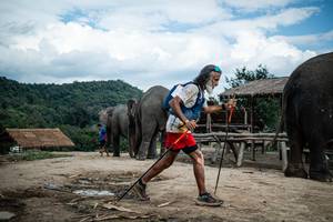 BIB: 
                            <button type="button" onclick="openModal(22424054)" class="btn btn-primary btn-sm float-right btn-popup" data-toggle="modal" data-target=".modal-high-quality">
                        <i class="fas fa-shopping-cart"></i> Add to Cart
                    </button>
                                            <button type="button" onclick="isThisMe(22424054, true)" class="btn btn-success btn-sm float-right btn-popup btn-isme hidden" data-toggle="tooltip" data-placement="bottom" title="นี่คือรูปของคุณใช่ไหม คลิกที่นี่เพื่อเอาเข้าอัลบั้ม">
                        <i class="fas fa-plus"></i> Add to album
                    </button>
                    <button type="button" onclick="isThisMe(22424054, false)" class="btn btn-warning btn-sm float-right btn-popup btn-isnotme hidden">
                        <i class="fas fa-ban"></i> Remove from album
                    </button>